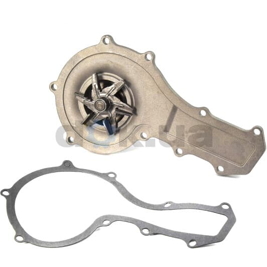 C143 Dolz Помпа