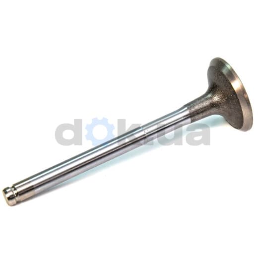 4000911 Sasic Впускной клапан