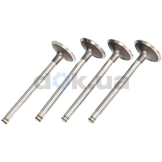 4000902 Sasic Впускной клапан