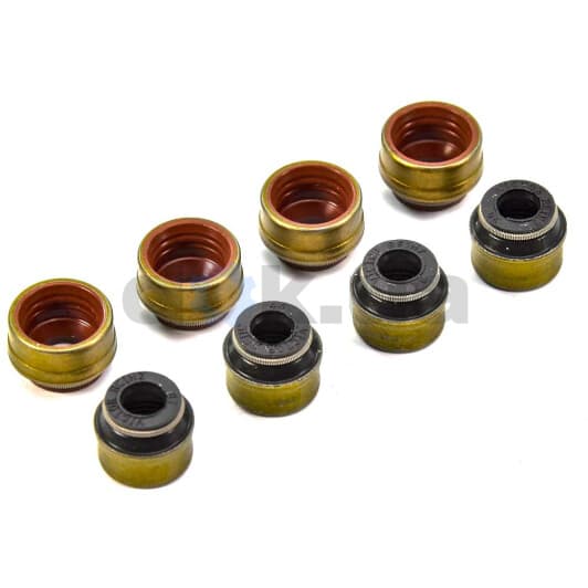 12-31306-09 Reinz Комплект сальников клапанов