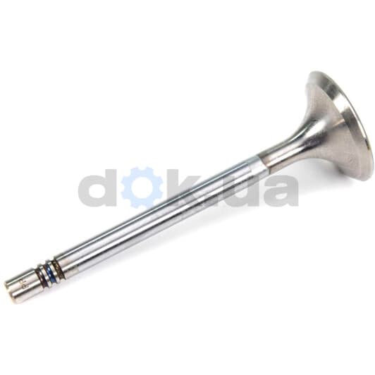 V171013 BGA Впускной клапан