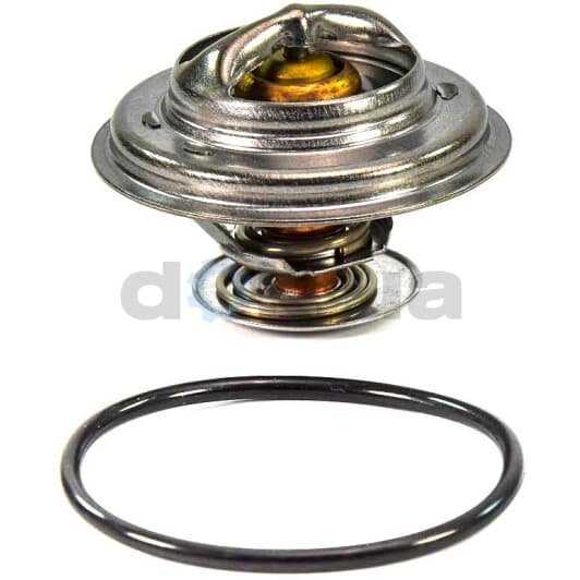 247-79 MotoRad Термостат