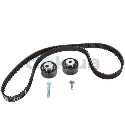 530 0446 10 INA Комплект ремня ГРМ