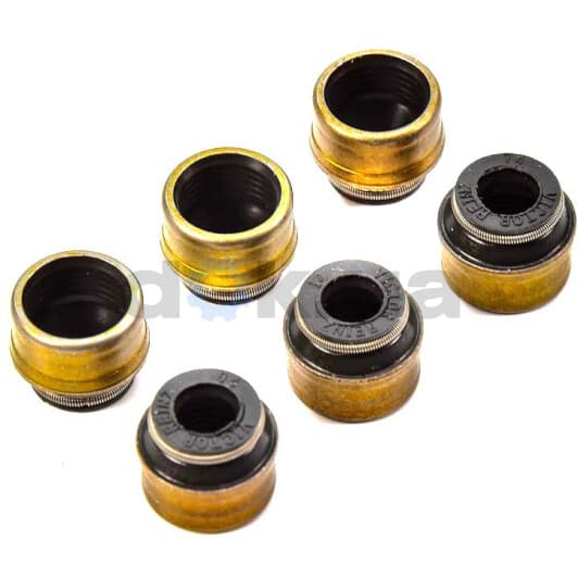 12-31306-13 Reinz Комплект сальников клапанов