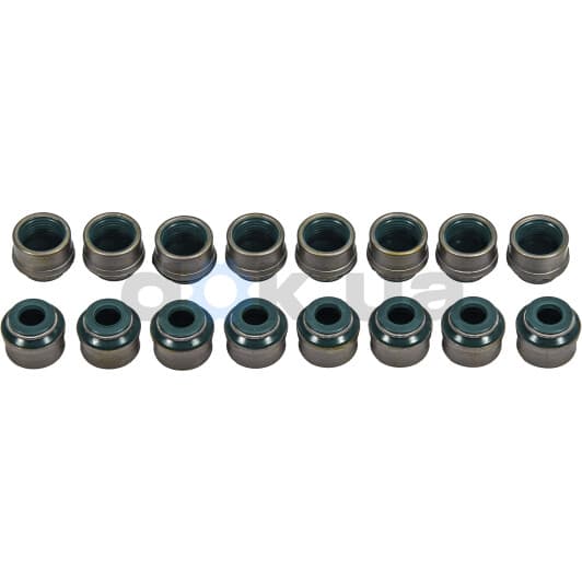 VK2349 BGA Комплект сальників клапанів