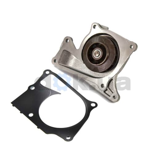 R231 Dolz Помпа