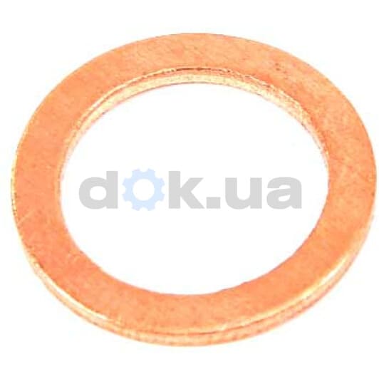 41-70089-00 Reinz Ущільнювальне кільце зливної пробки