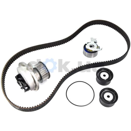 530 0049 30 INA Комплект ремня ГРМ + помпа