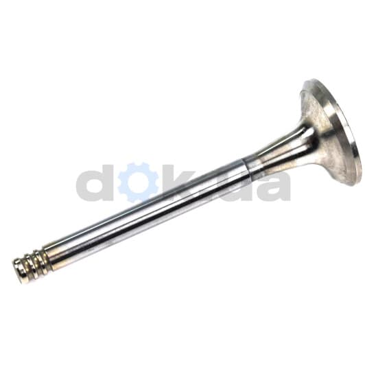 R4202/RCR Freccia Випускний клапан