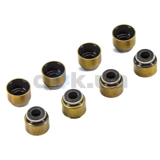 70-54062-00 Reinz Сальник клапана