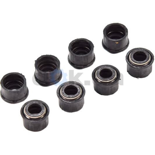 12-20315-03 Reinz Комплект сальників клапанів