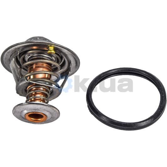 8620 8682 Triscan Термостат