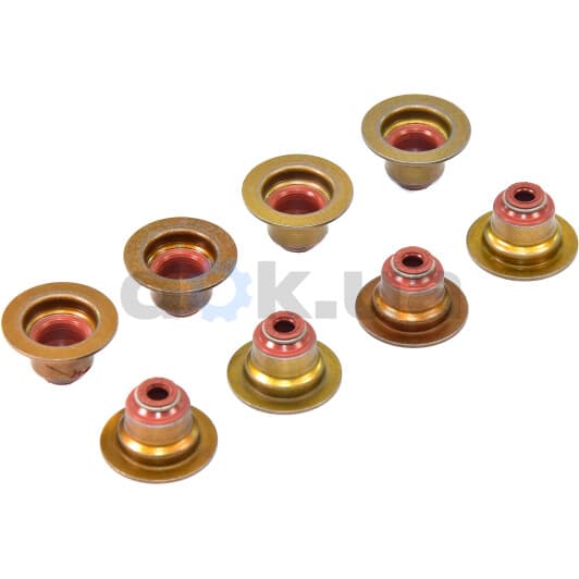 12-53393-01 Reinz Комплект сальников клапанов