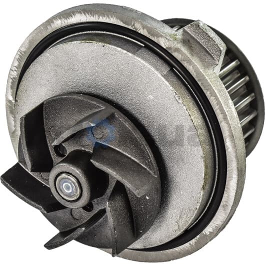 O139 Dolz Помпа