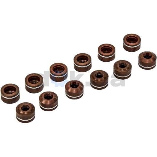 12-25227-04 Reinz Комплект сальників клапанів