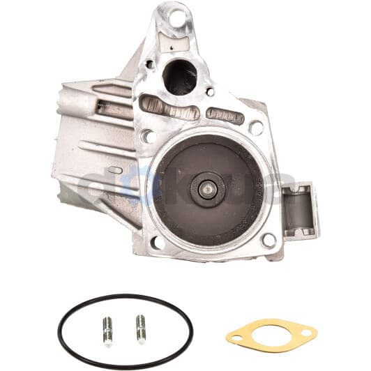 R221 Dolz Помпа