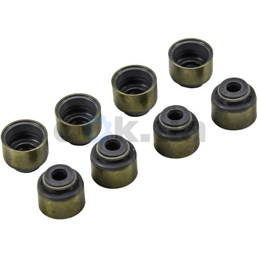 12-53129-01 Reinz Комплект сальників клапанів