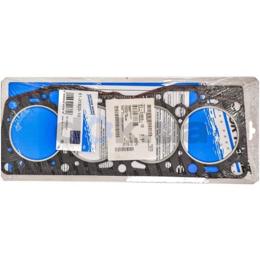 61-31825-10 Reinz Прокладка ГБЦ