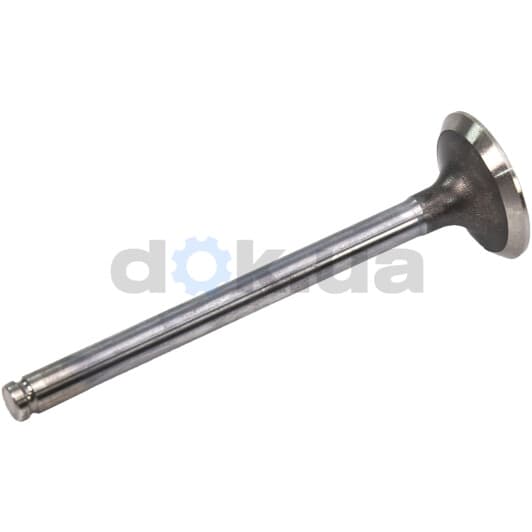 R4810/RCR Freccia Выпускной клапан