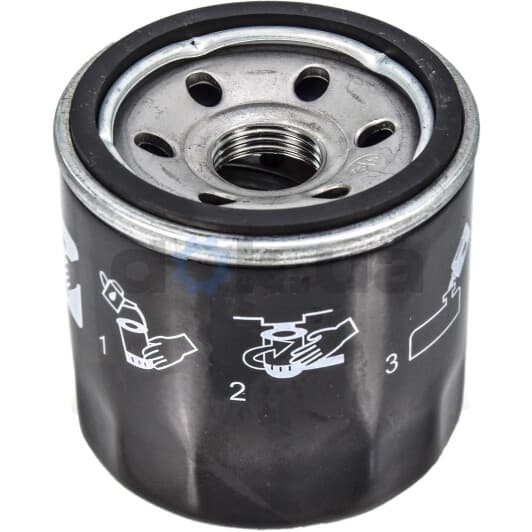 COF100180S Champion Оливний фільтр