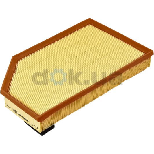 CAF100860P Champion Воздушный фильтр