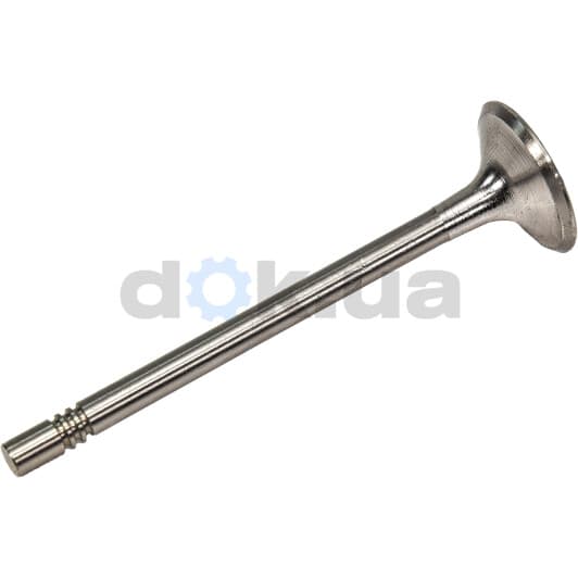 R6564/S Freccia Впускний клапан