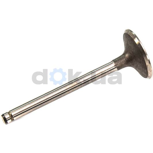 R3639/S Freccia Выпускной клапан