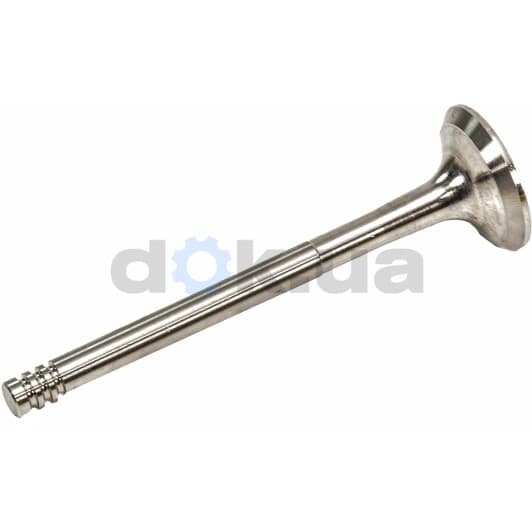 R4803/R Freccia Випускний клапан