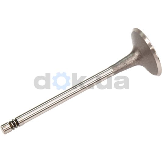 V95098 AE Впускной клапан