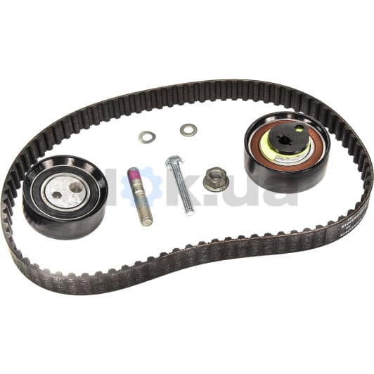 530 0062 10 INA Комплект ремня ГРМ