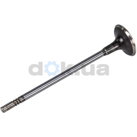 V98025 AE Випускний клапан