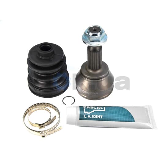 G1G038PC Pascal ШРУС