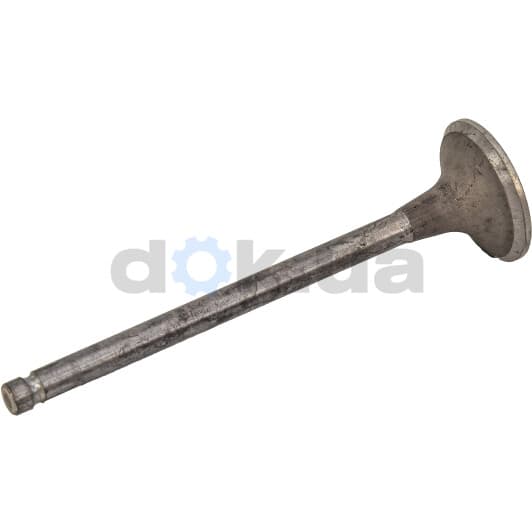 R6249/RNT Freccia Выпускной клапан