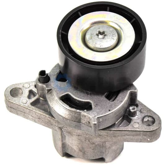 30687 Asam Натяжной ролик поликлинового ремня