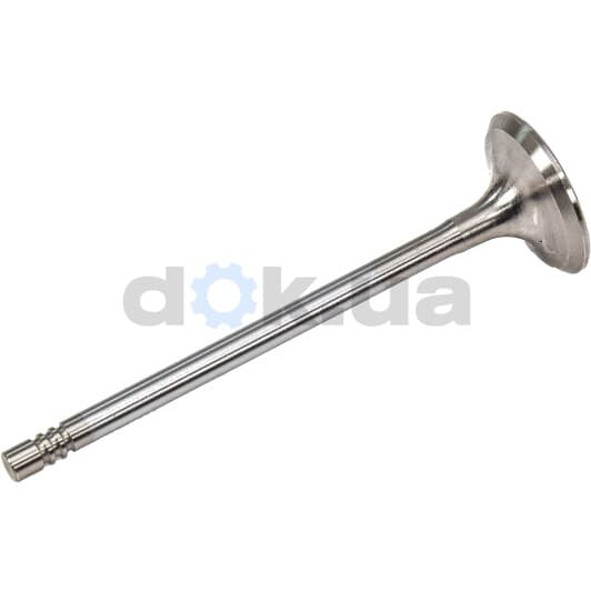 R6620/SCR Freccia Впускной клапан