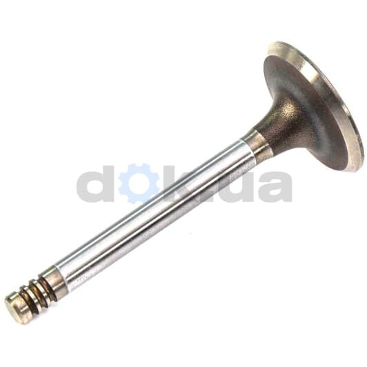 V033282 BGA Впускной клапан