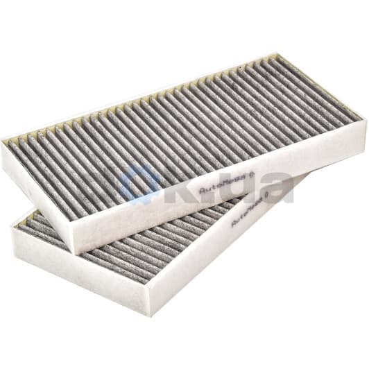 180002910 Automega Фильтр салона для Renault Laguna