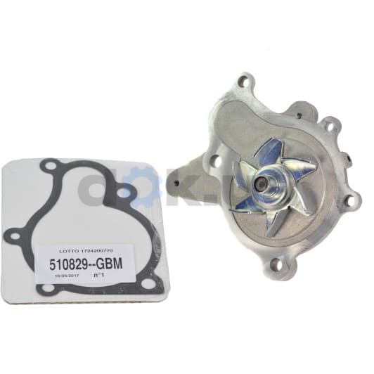 PA829 Graf Помпа