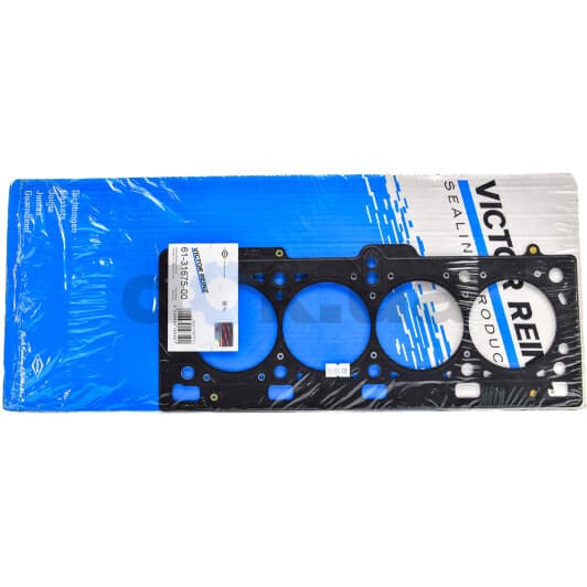 61-31675-00 Reinz Прокладка ГБЦ