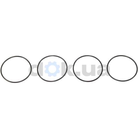 40-76741-00 Reinz Прокладка клапанної кришки