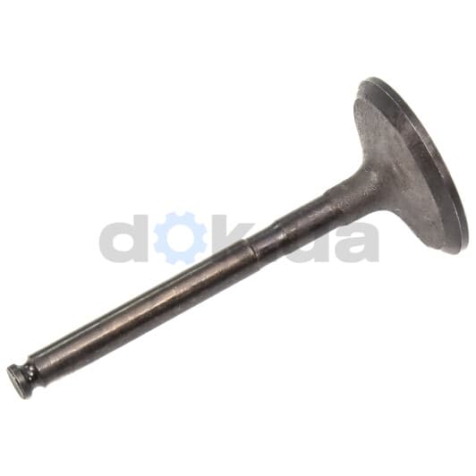 R6119/SNT Freccia Впускной клапан