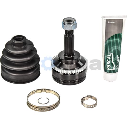 G1R039PC Pascal ШРУС