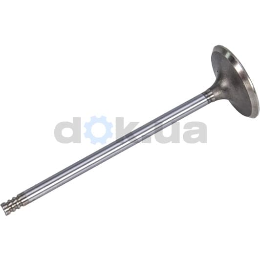 3056.032 Intervalves Впускной клапан