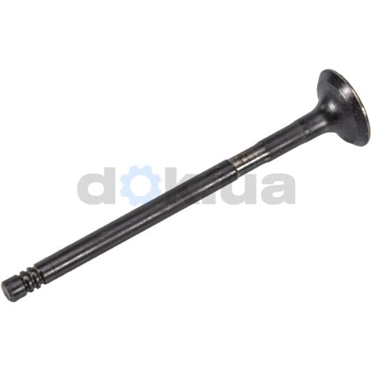 V98037 AE Выпускной клапан