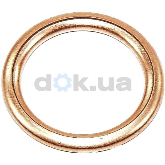 41-72032-30 Reinz Ущільнювальне кільце зливної пробки