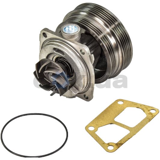 S216 Dolz Помпа