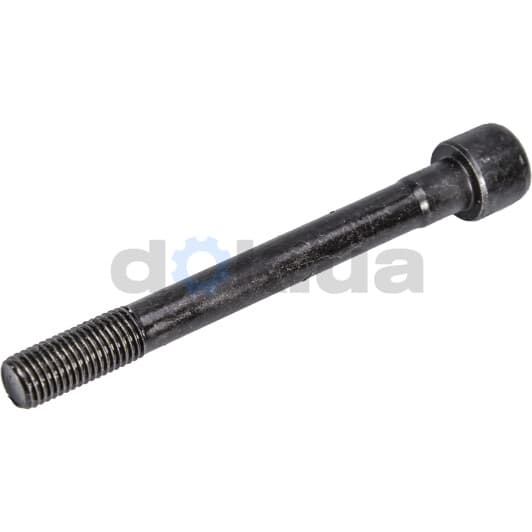 81029900 Ajusa Болт ГБЦ