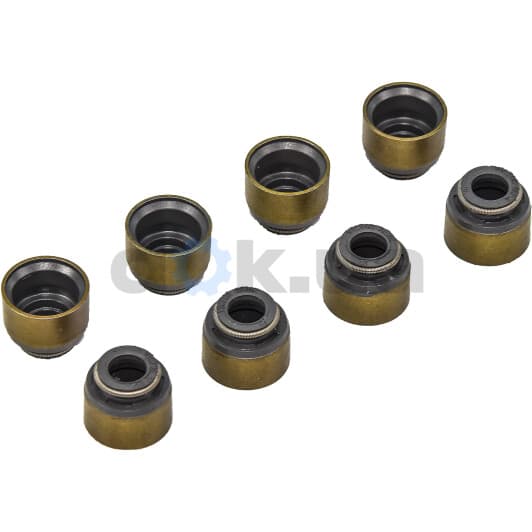 12-52748-04 Reinz Комплект сальників клапанів