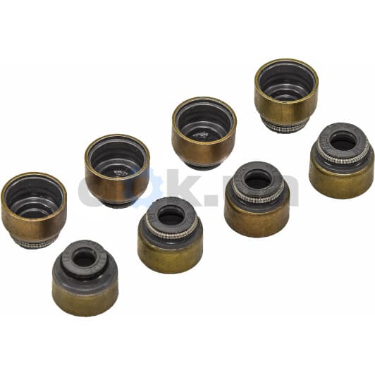 12-54024-01 Reinz Комплект сальников клапанов