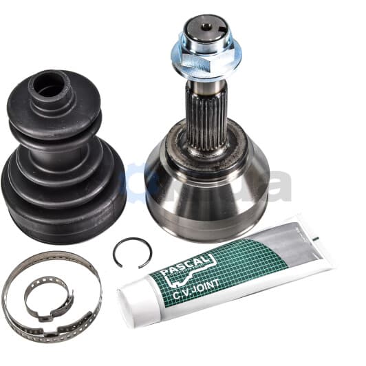 G1F019PC Pascal ШРУС